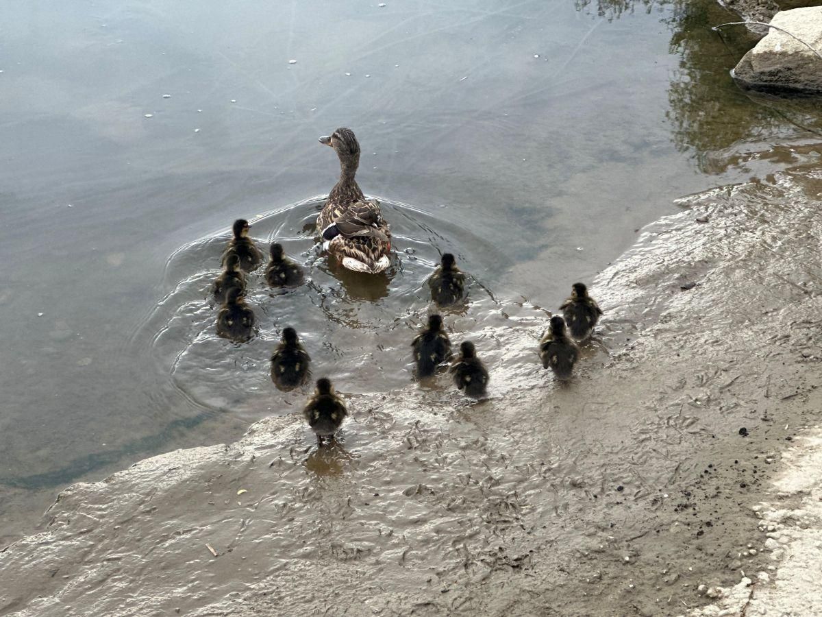 Technische Hilfeleistung